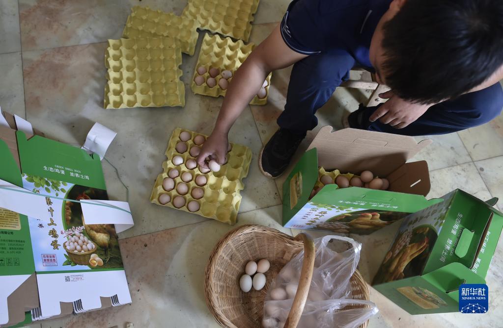 澳门威尼期人下载